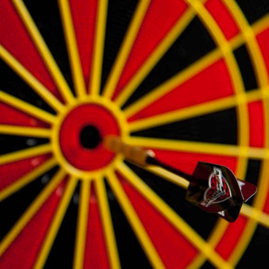 Cible électronique Arachnid CRICKET PRO 800